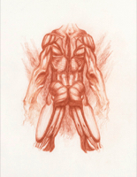 Anatomical Study, Torso 12